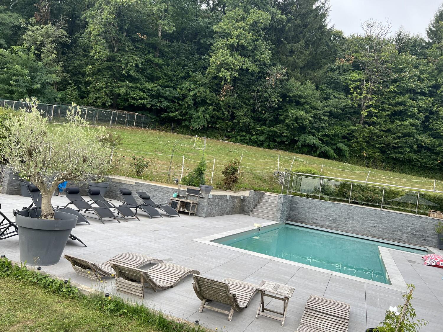 Piscine chauffée entourée de transats, avec olivier et vue sur le parc